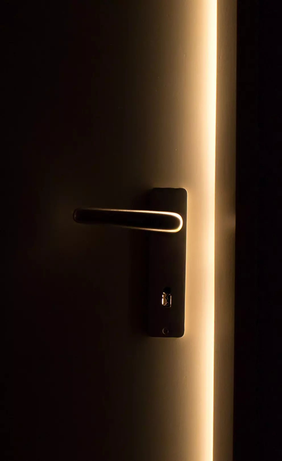 Puerta Abriendose